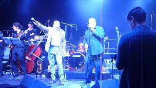 Chris Thompson & Lumberjack Bigband | Live | 2012 | Göppingen | Hold on, i'm comin'