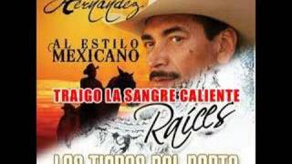 TRAIGO LA SANGRE CALIENTE / TIGRES - RAUL HDZ