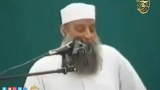 صورة اللحية والنقاب كالراية | للشيخ الحويني