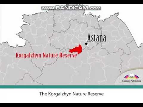 Excel 8.Module 6.Nature Reserves around the world.p.71