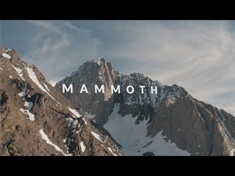 MAMMOTH