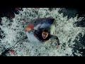 UNDER PARIS 2024 Shark Attack The Divers Full Scene HD