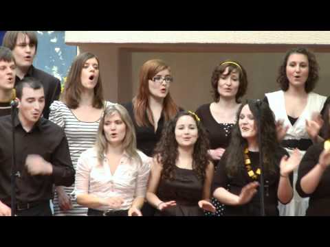 Bee Geesus - joy comes in the morning