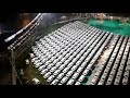 Hari Krishna Exports Pvt Ltd SURAT ROYAL CAR DISTRIBUTION 2018