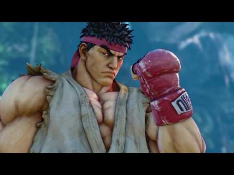 SFV practice research