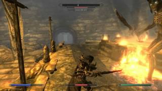 Skyrim Mod: Boss.