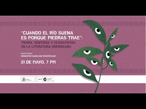 Imagen Luis Dias: Merenrock y Tecnoamargue - En Vivo Desde El Centro (2005)