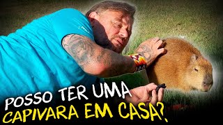 Miniatura do vídeo