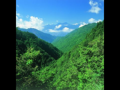 太平山景觀平台即時影像