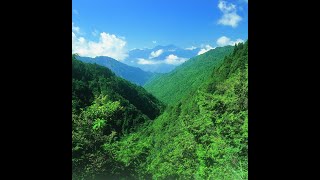 太平山国家森林遊楽区 観平台