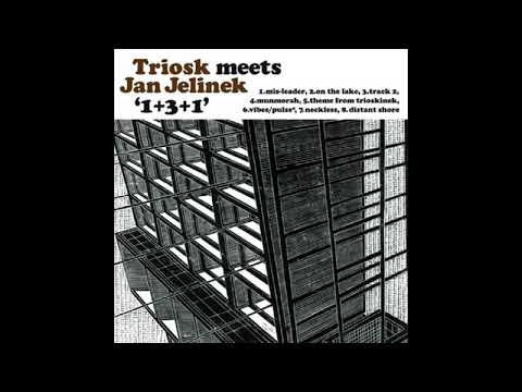 Triosk meets Jan Jelinek -  Theme From Trioskinek