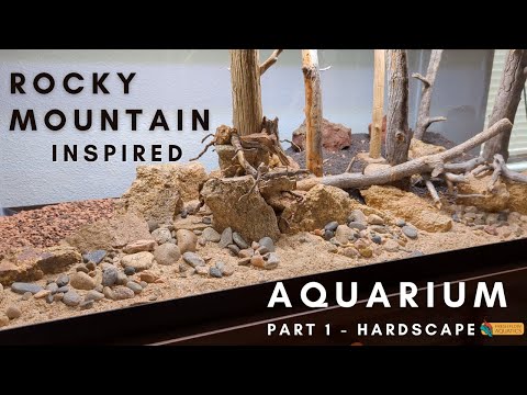 Rocky Mountain inspired aquarium - Part 1 How to set up a forest aquarium hardscape