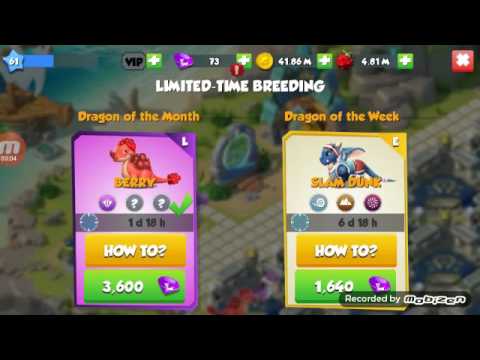 Slam Dunk Dragon Breeding Guide