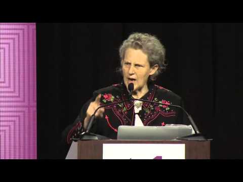 Sample video for Temple Grandin, PhD