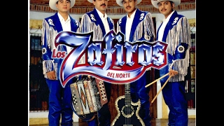 Dinastia De Perrones - Los Zafiros Del Norte...(El Coyote)