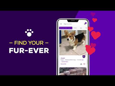 Petfinder - Adopt a Pet Video