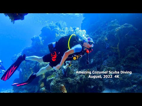 Amazing cozumel scuba diving august 2022 in 4k
