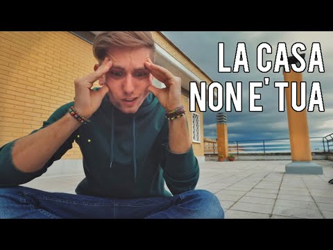 COMMENTI STUPIDI - Cane Secco