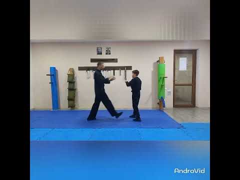Artsakh(Armenian) Wing Chun(Wing Tsun) Hayk Aghajanyan, 1 level.