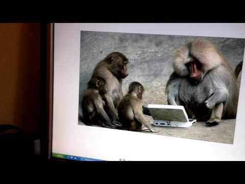 Teoria lui DARWIN 2013 by Maimu