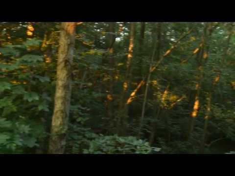 Örkelljunga, Ågatan!