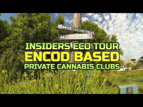 ENCOD Based Private Cannabis Clubs in South Africa