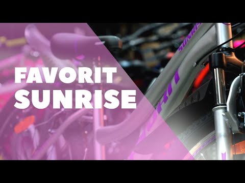 Велосипед Favorit Sunrise 26 (15, серебристый) SUNRISE26V15SL - видео 1
