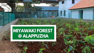 Mini Forest at Muziris Alappuzha Port Museum