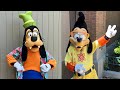 Max As Powerline Vacation Goofy Meet Greet At Disney S Hollywood Studios 2023 Disney World