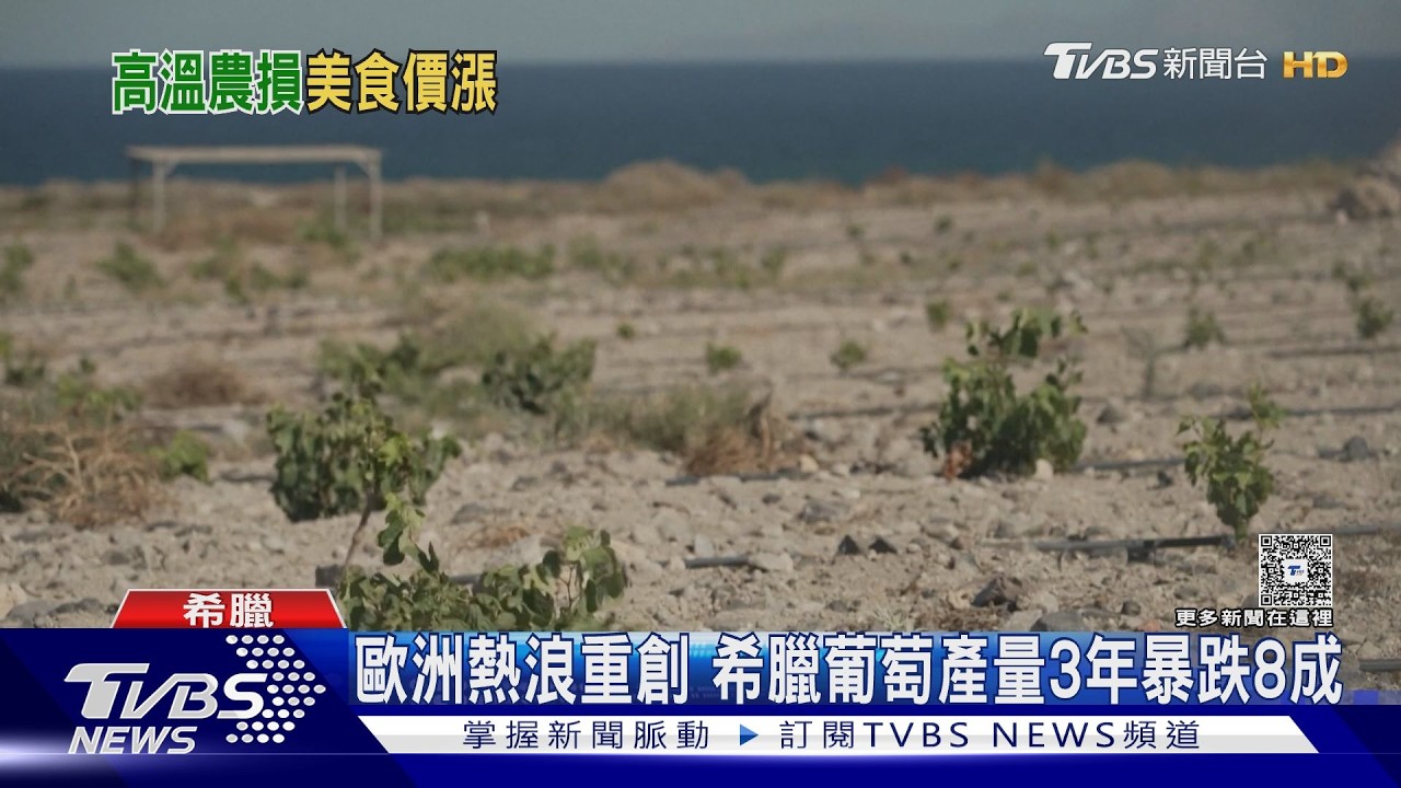 影音/高溫持續肆虐!歐洲GDP恐損失7% 葡萄、畜牧全遭殃