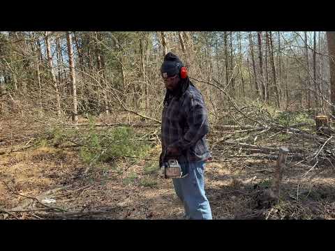 Clearing the Trail: Cutting Up a Massive Fallen Tree
