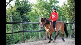 Music video!! Flytir and Isabel, emotional moments❤️