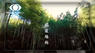 Miniatura do vídeo