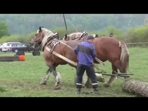 Furmansko-remeselnícky deň 2017, Lučenec