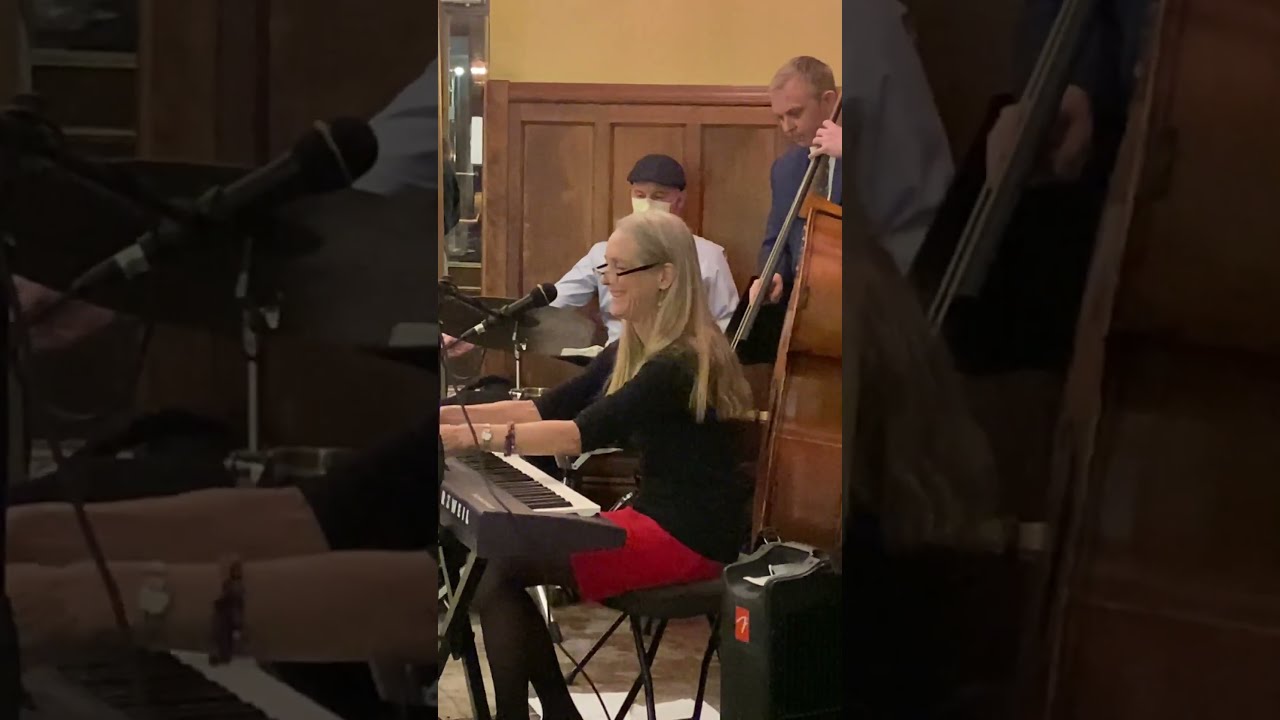 Promotional video thumbnail 3 for Bonnie Lowdermilk solo, duo, trio, 4-tet