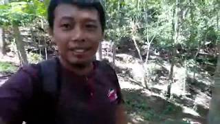 preview picture of video 'Wisata Hutan Kota TRENGGALEK 28.12.2018'