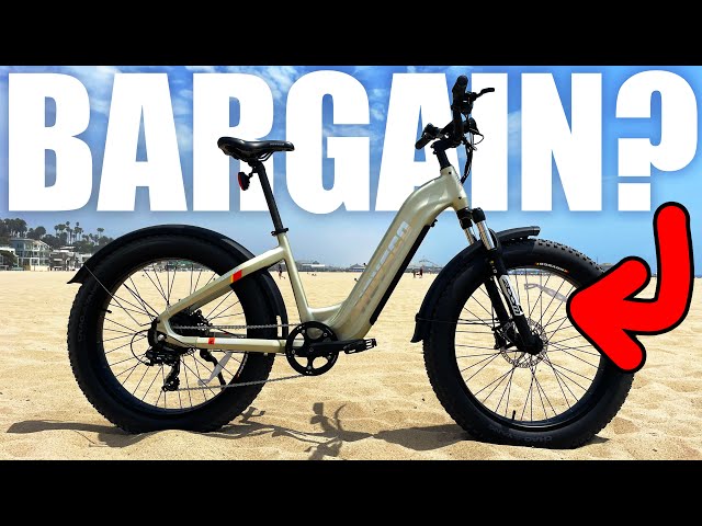 Hovsco Alpha Ebike 2 Bike Bundle Sale! Super Spring Savings in eBike in Moose Jaw