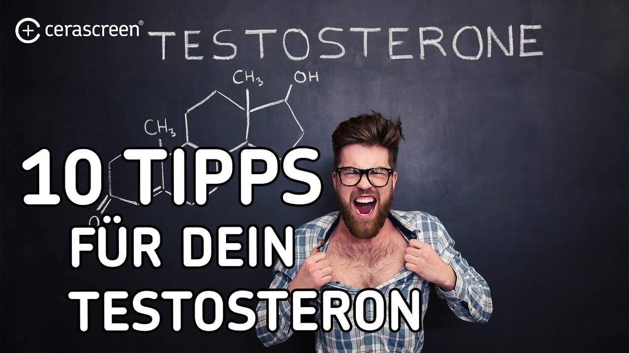Wofür brauchen wir das männliche Sexualhormon? | 10 Tipps für mehr Testosteron