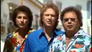 Die Flippers - Der Hit auf Hit Party Mix