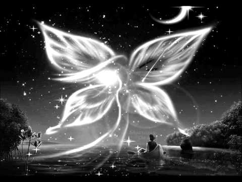 Thyphoon - Redshark vs Dj Furax.wmv