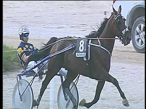 Trotto 11/05/2018 - 4ª corsa