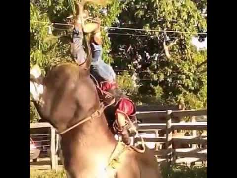 Edi brito e Rafael -ponto G status de rodeio