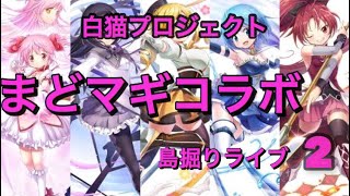 白猫プロジェクト　まどマギコラボナイトメアに挑む　金称号狙います