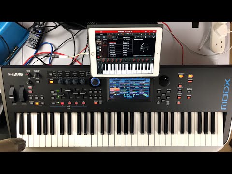 Let’s Play With SAMPLETANK - iPad Demo - Live Stream