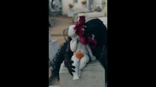 Ataraxia - Fuga trionfale - Autunna et sa rose  Strange light