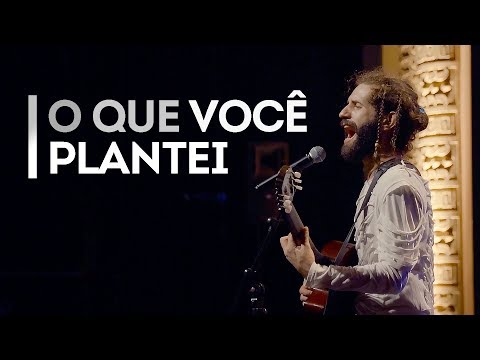 O Que Você Plantei - Projeto Rivera