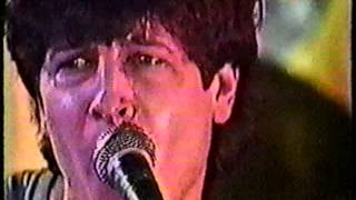 CIRCLE JERKS -  Wild In The Streets (live)