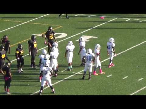 Semi   RMS vs Rex Mill