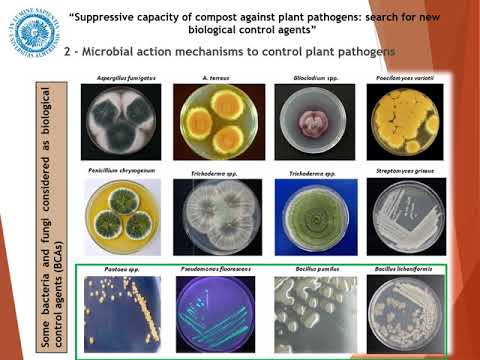 Suppressive capacity of compost against plant path... — Francisca Suárez (ESP) / Best4Soil Workshop
