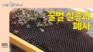 [나는농부다 247회] 꿀벌 실종과 폐사